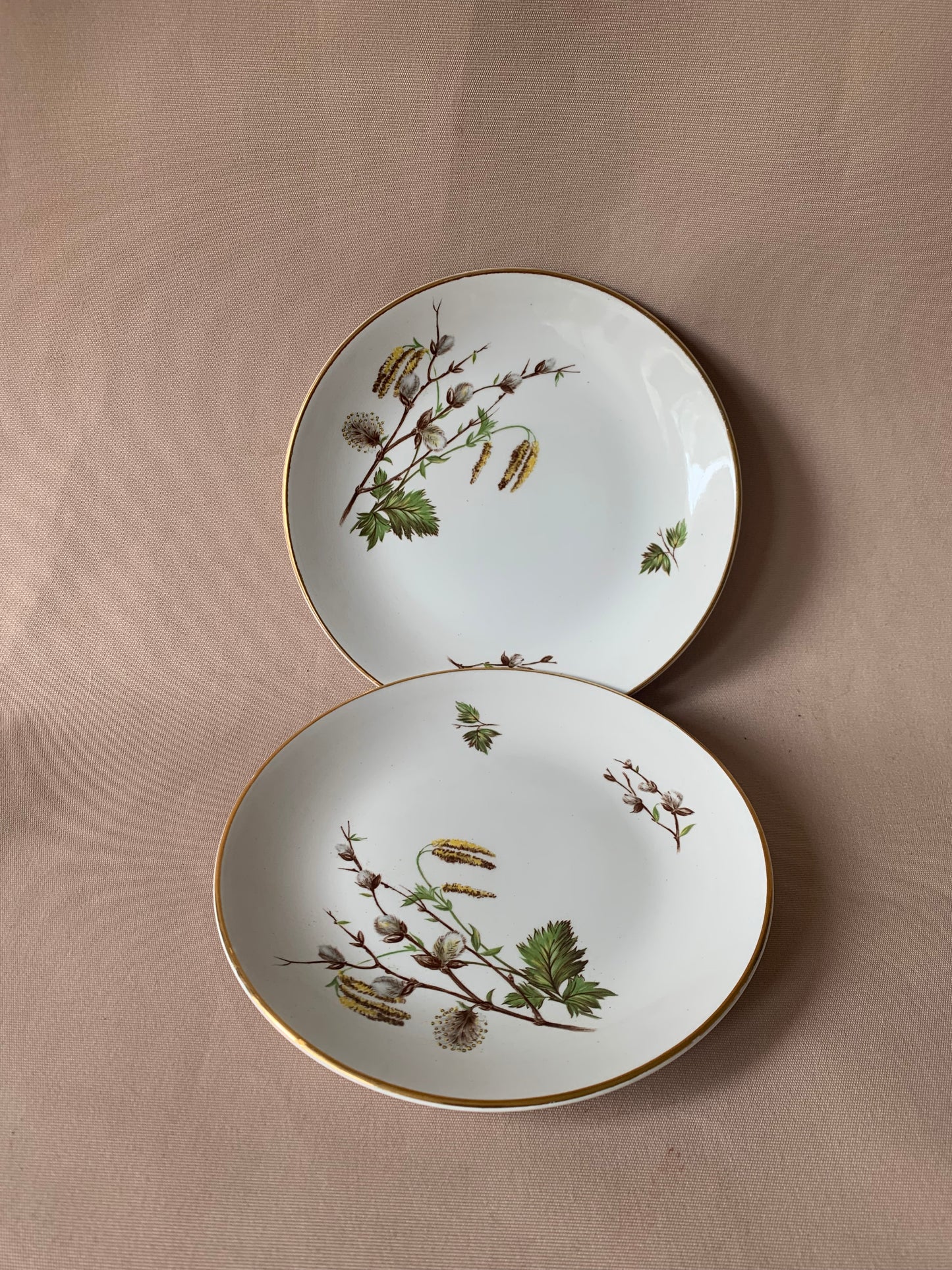 Staffordshire Ridgway Pussy Willow Side Plates