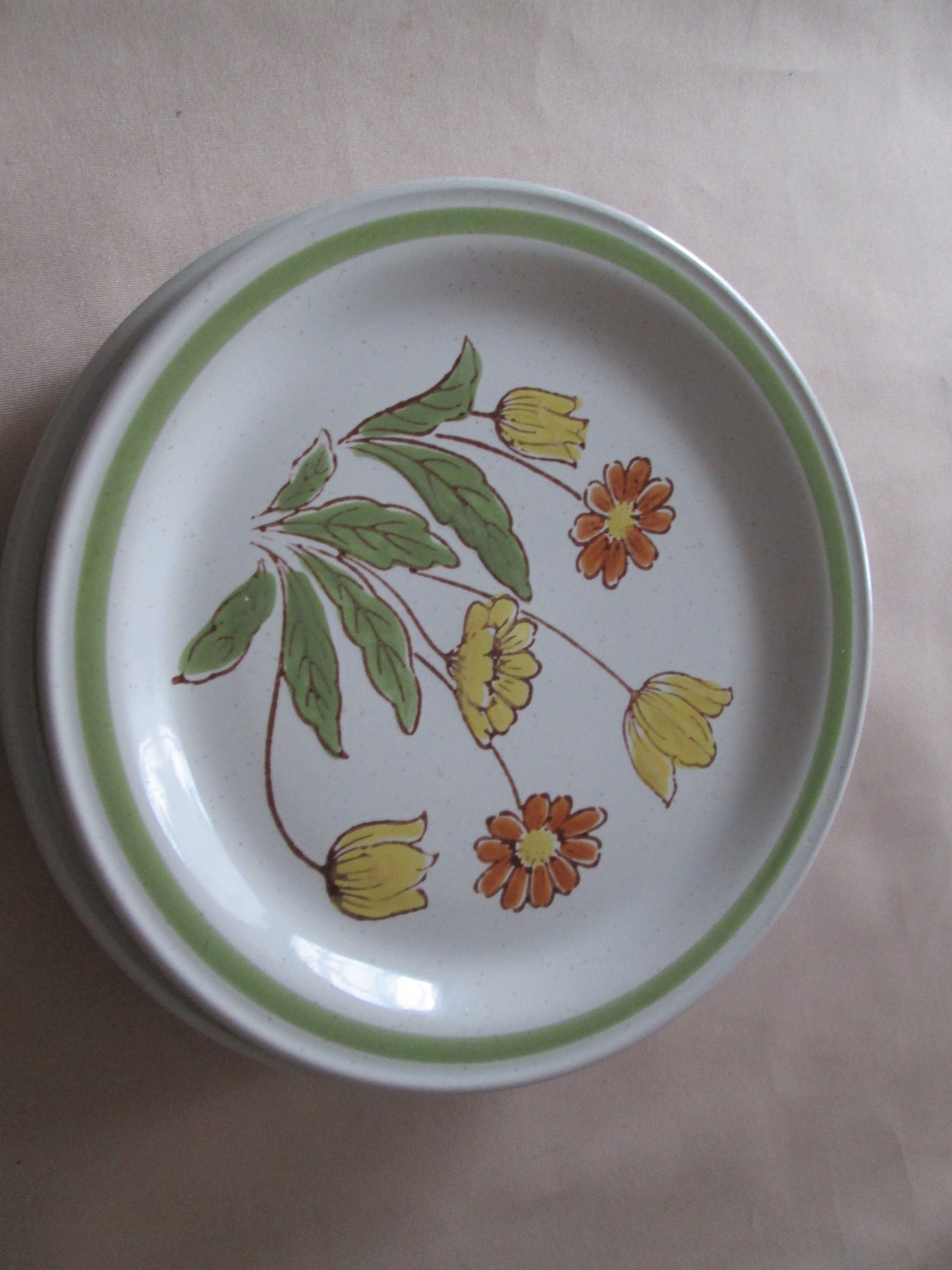 Country Casual Sunnyvale Dinner Plates 26cm