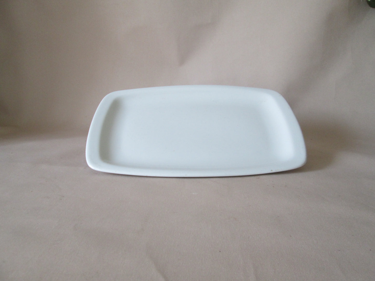 Continental SupraDura Serving Plate
