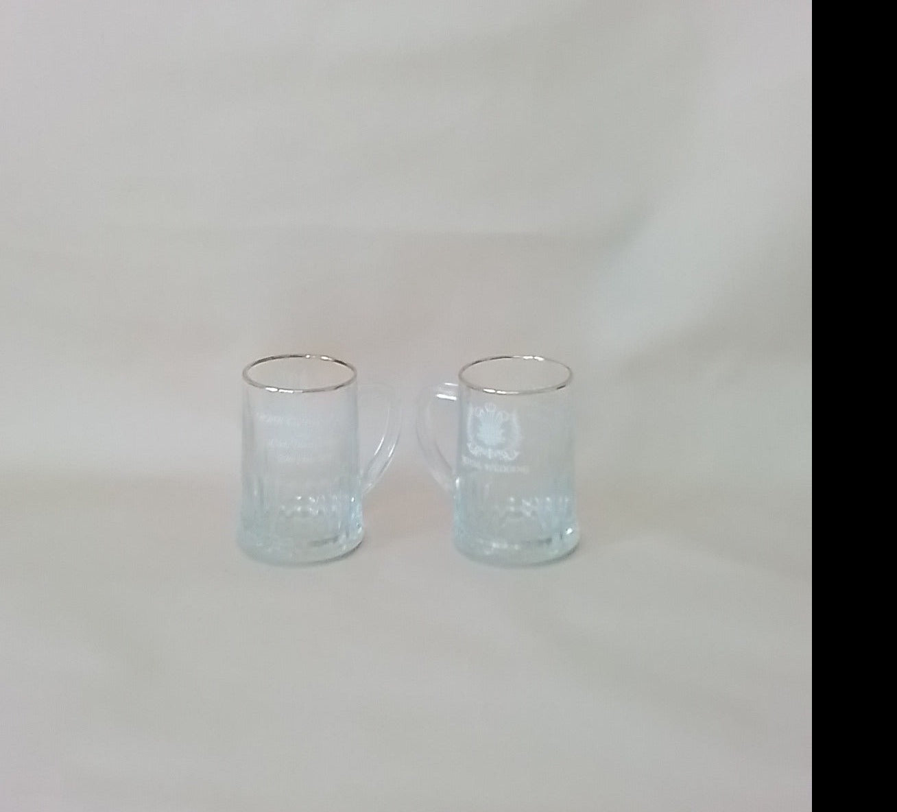 Royal Wedding of Charles & Diana Memorabilia Mugs