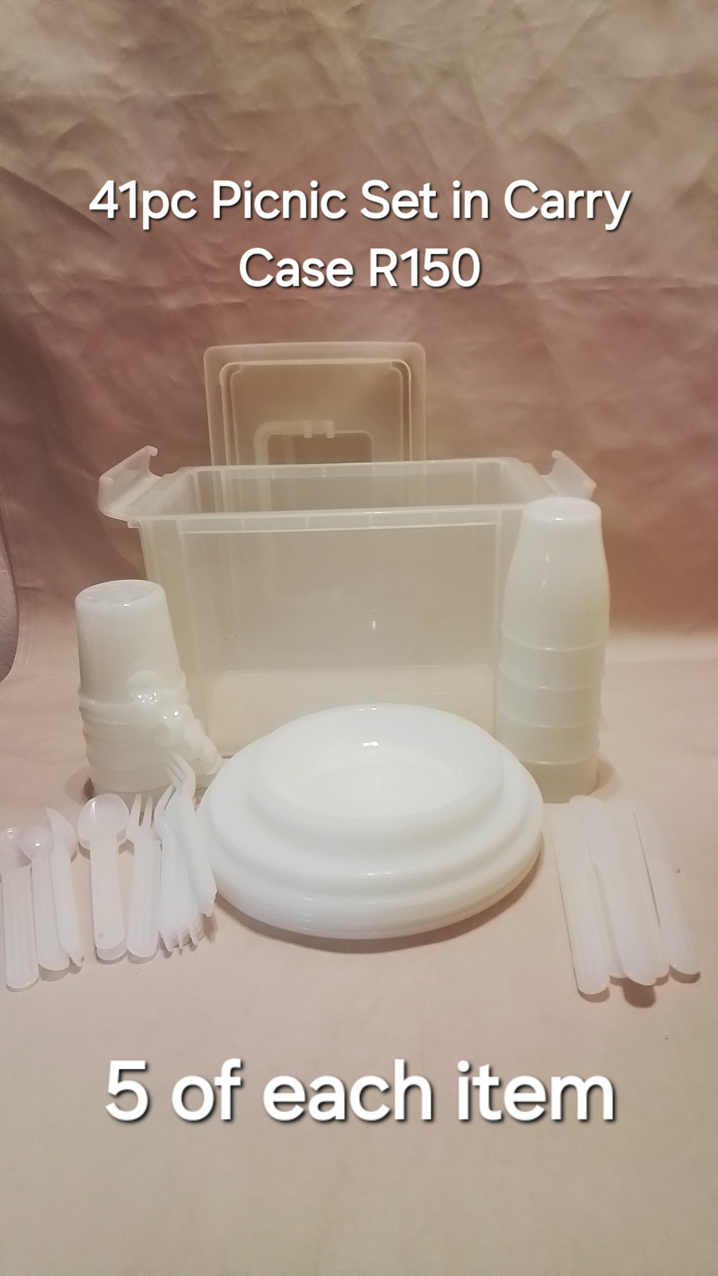 41pc White Plastic Picnic Set in Carry Case