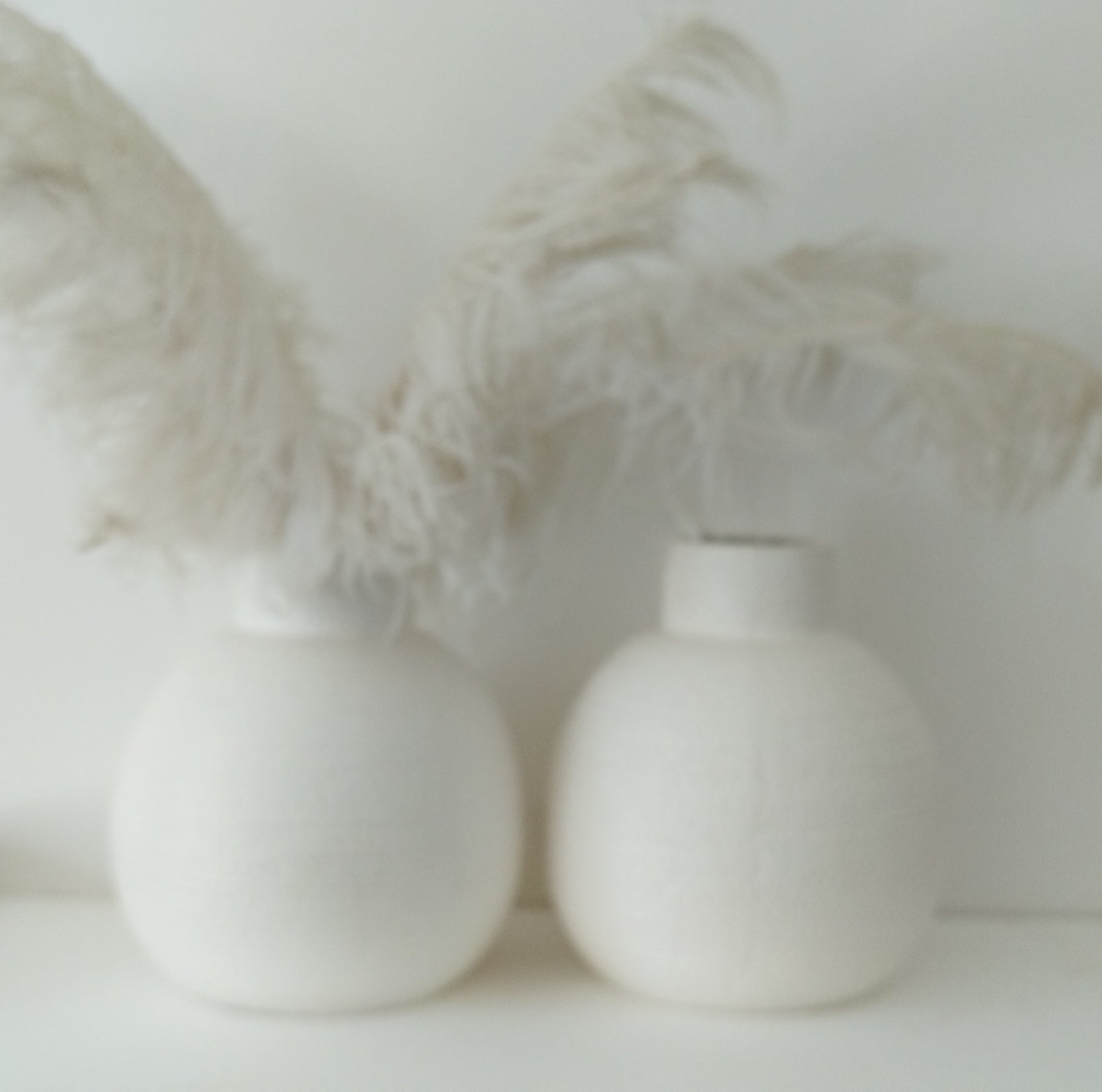 Set of 2 White Ceramic Round Vases2 White Ceramic Round VasesDesireMe PreLoved Goods