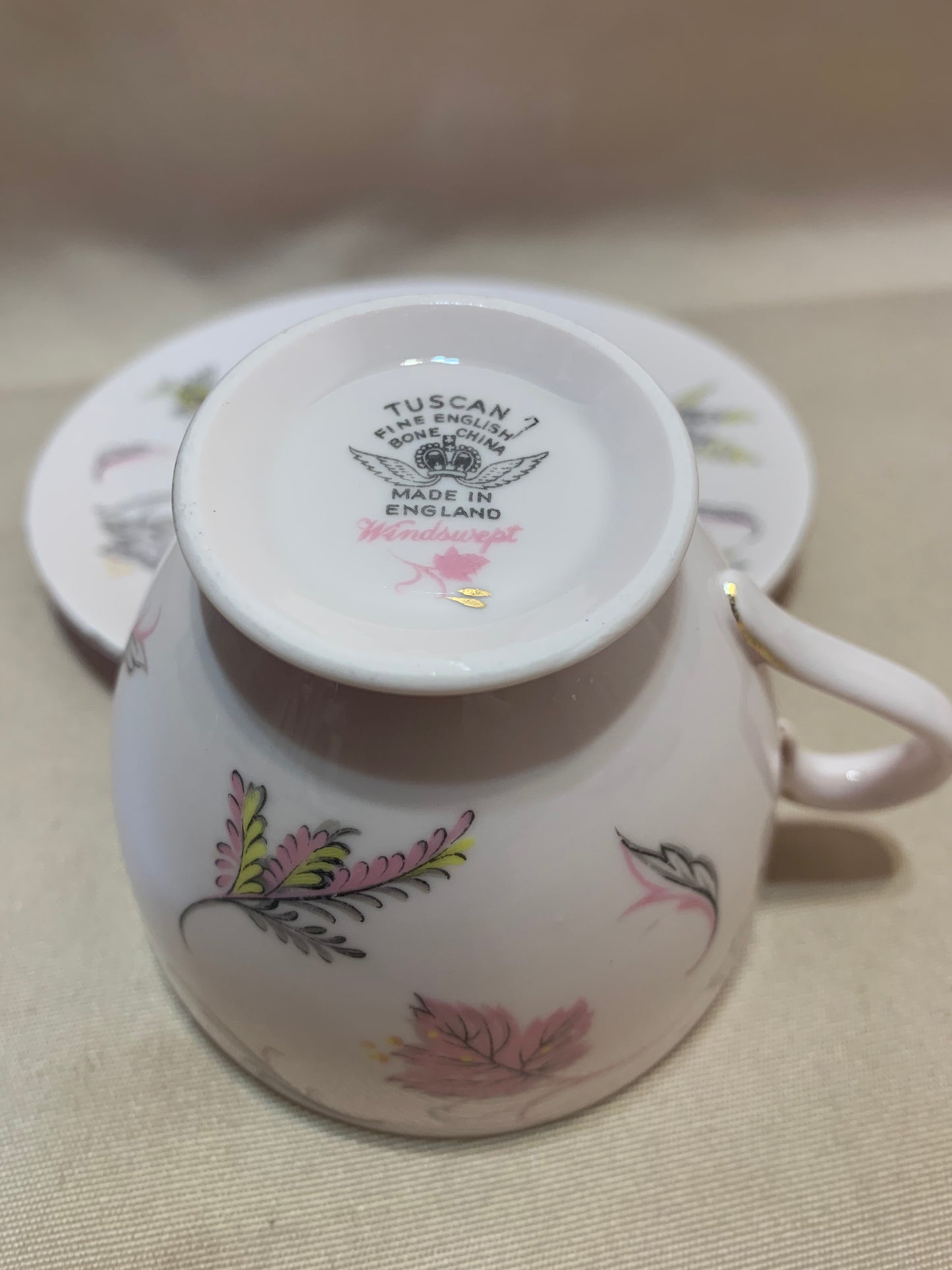 Tuscan Windswept Fine English Bone China cup and Saucer Set