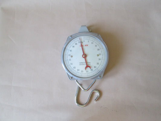 Camry Hanging Scale Capacity 100kg